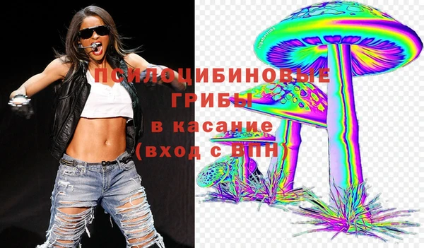 молекула духа Алзамай