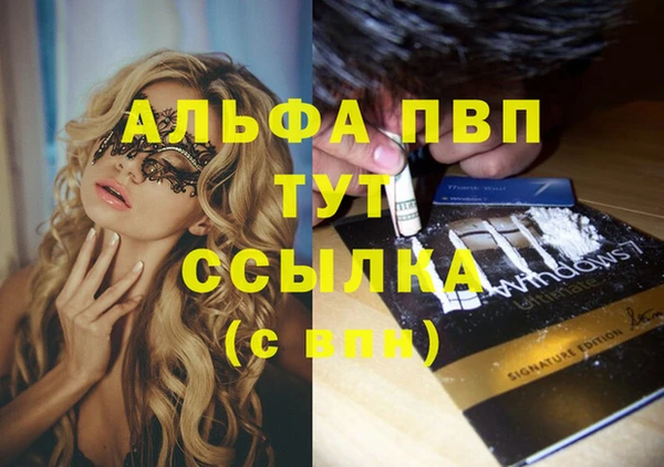 стафф Алексин