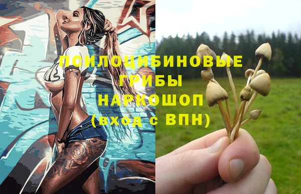 твердый Алексеевка